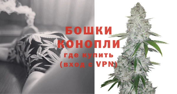 мдпв Володарск