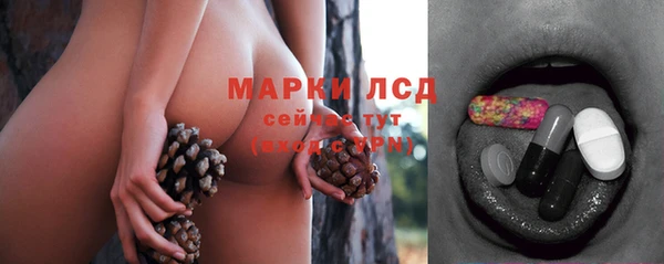 мдпв Володарск